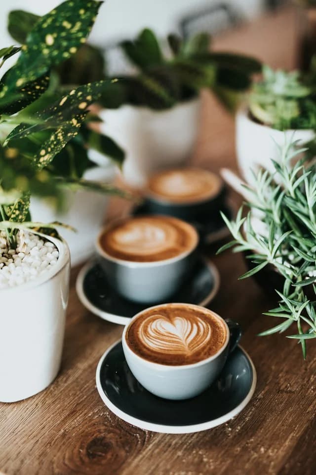 Two cup of coffee